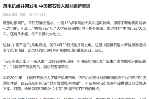 时报：风电机组并网发电 中国利来w66驶入新能源新赛道